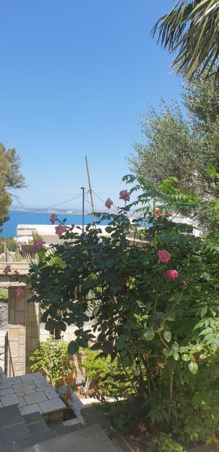 Redsun Apartment Vlorë 外观 照片